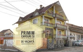 Vila Perla Sapanteana